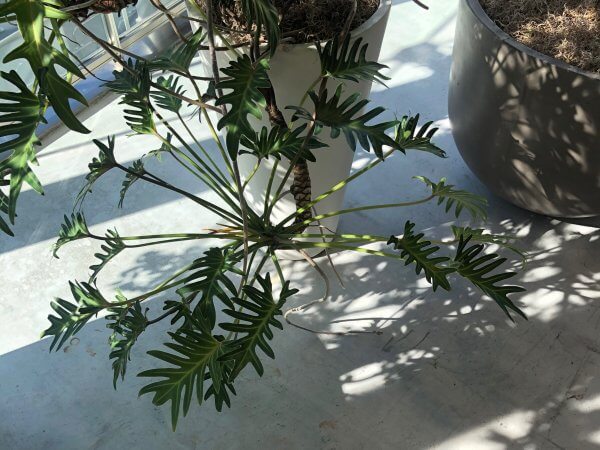 サロン仕事服〜制服を選ぶ時のルール〜｜ネイルサロン開業・経営ならビオネイル