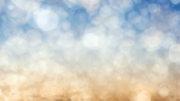 特上メニューを取り入れるだけで売上倍増！｜ネイルサロン開業・経営ならビオネイル