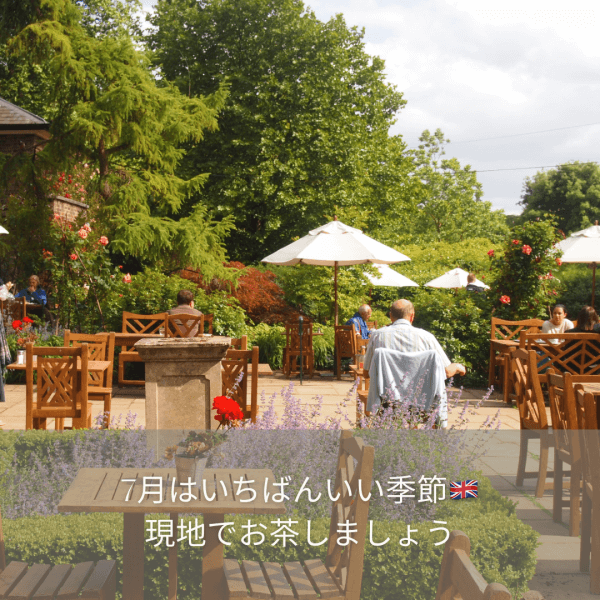 【お知らせ】2024年6月末〜7月末イギリス出張｜ネイルサロン開業・経営ならビオネイル