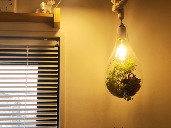 【3周年インタビュー】リピート率80％！のびのび売上を伸ばす放牧経営｜ネイルサロン開業・経営ならビオネイル