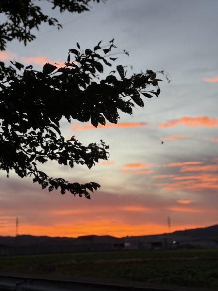 【正社員1名内定！】農業法人の採用プロデュース｜ネイルサロン開業・経営ならビオネイル